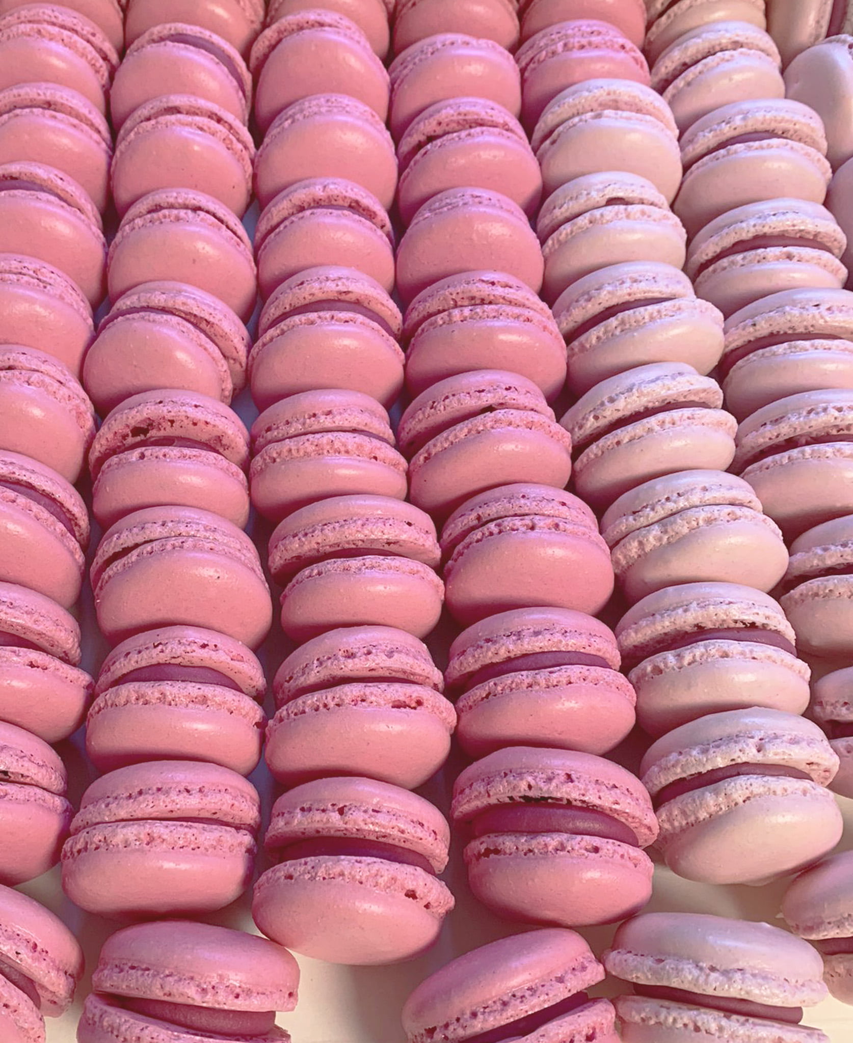 macaron rose gourmant